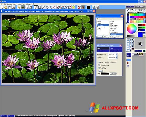 لقطة شاشة Pixia لنظام التشغيل Windows XP
