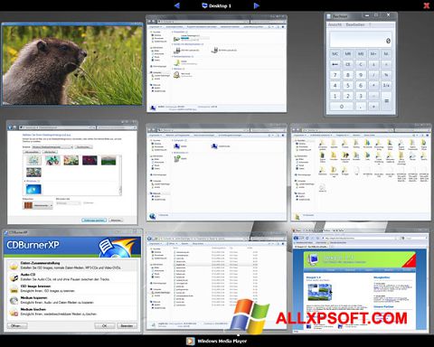 لقطة شاشة Dexpot لنظام التشغيل Windows XP