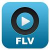 FLV Player لنظام التشغيل Windows XP