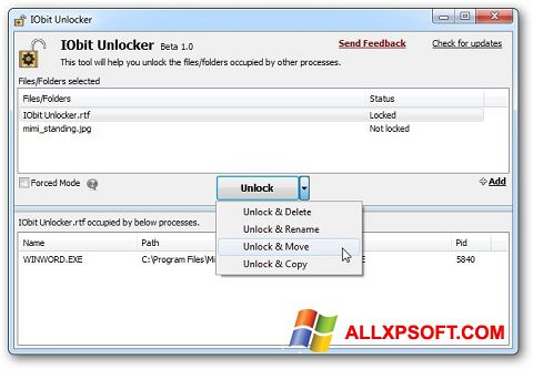 لقطة شاشة IObit Unlocker لنظام التشغيل Windows XP
