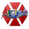 Aegisub لنظام التشغيل Windows XP