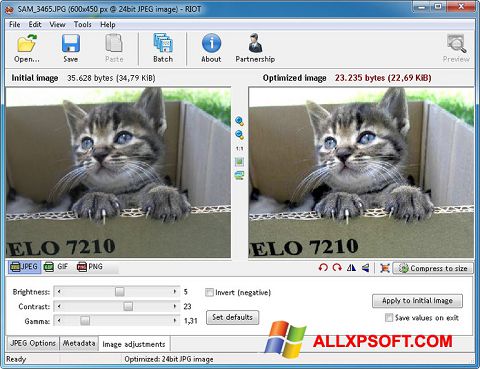 لقطة شاشة RIOT لنظام التشغيل Windows XP