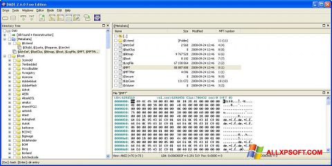 لقطة شاشة DMDE لنظام التشغيل Windows XP